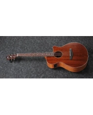 Ibanez AEG220-LGS - Chitara Electro-Acustica