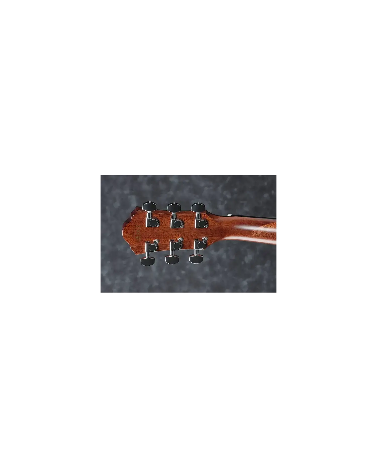 Ibanez AEG220-LGS - Chitara Electro-Acustica