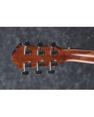 Ibanez AEG220-LGS - Chitara Electro-Acustica