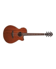 Ibanez AEG220-LGS - Chitara Electro-Acustica