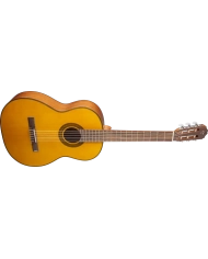 Takamine GC1-NAT - Chitara clasica Takamine - 1