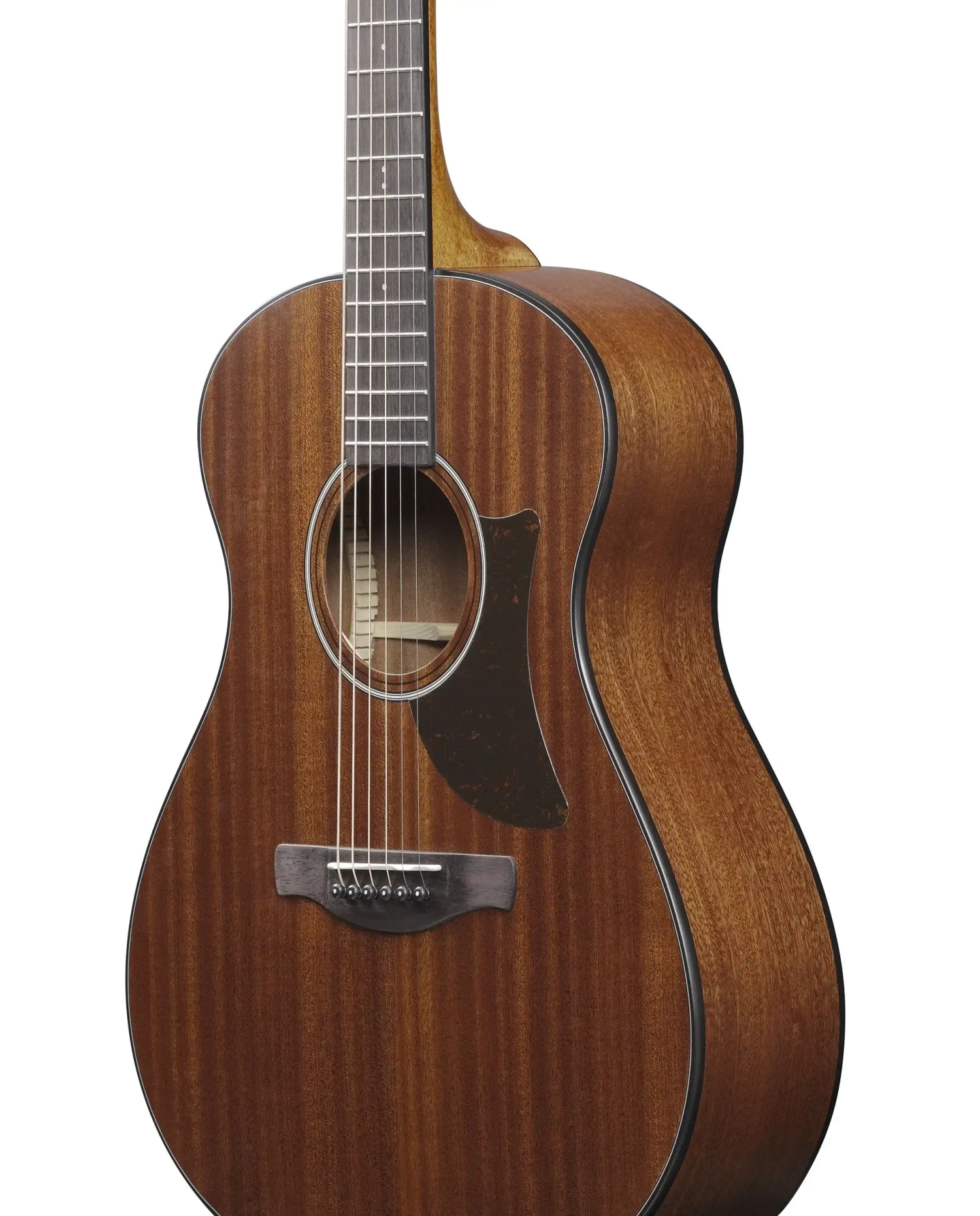 Ibanez AAM54-OPN - Chitara Acustica