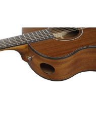Ibanez AAM54-OPN - Chitara Acustica