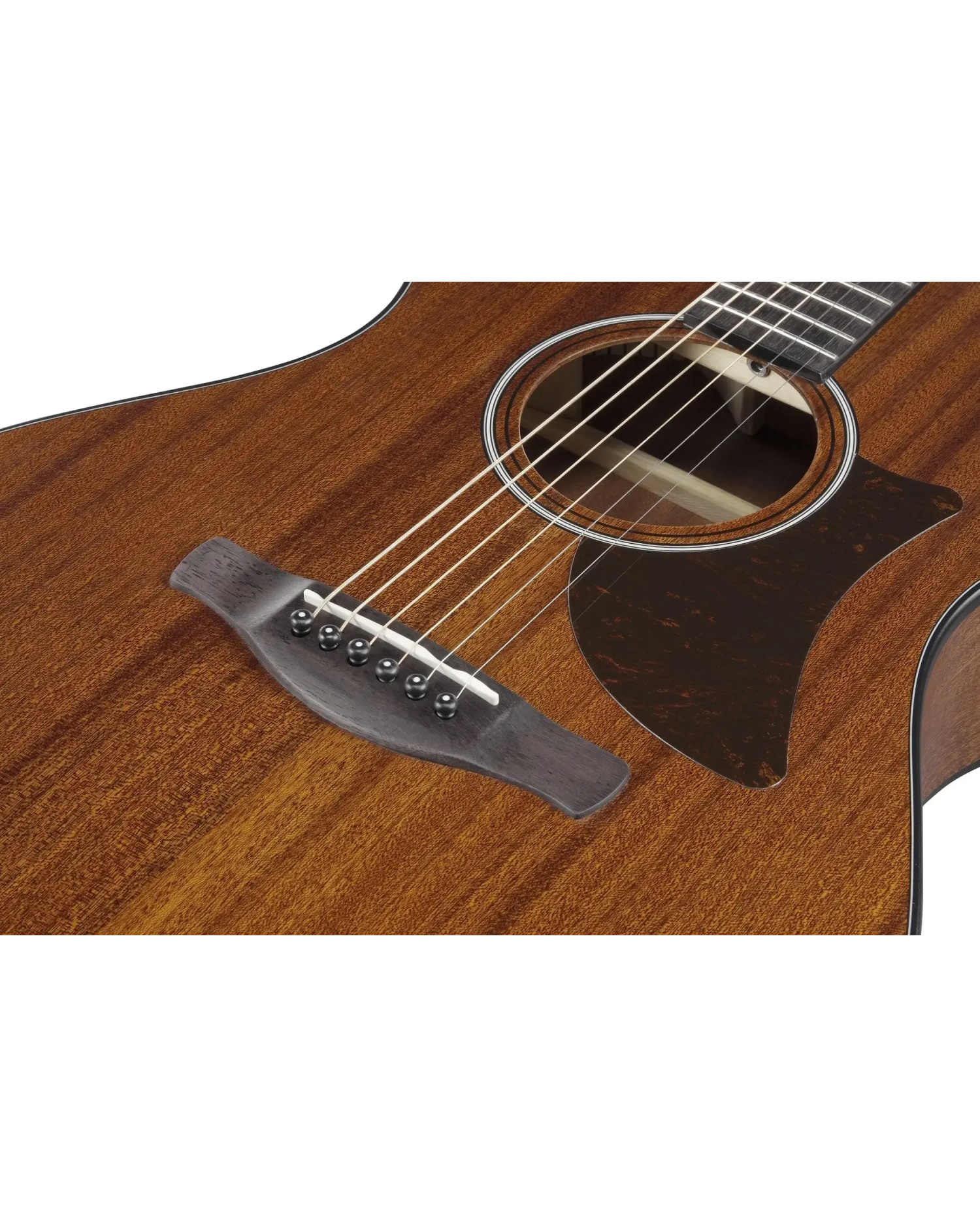 Ibanez AAM54-OPN - Chitara Acustica