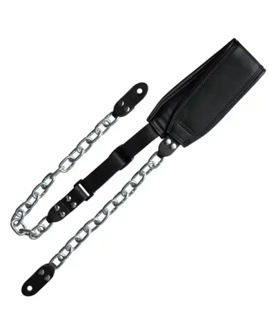 Richter Succubus BK & Silver 1951 - Curea Chitara