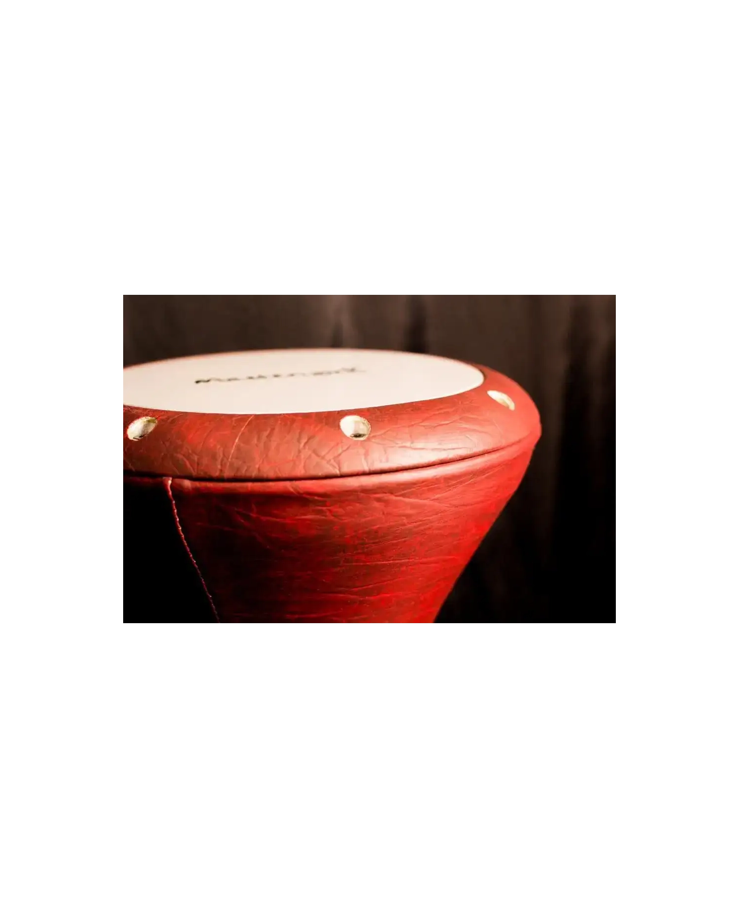 Masterwork Vinnex - Doumbek cu husa Masterwork - 2