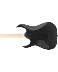 Ibanez RG420EX-BKF - Chitara Electrica