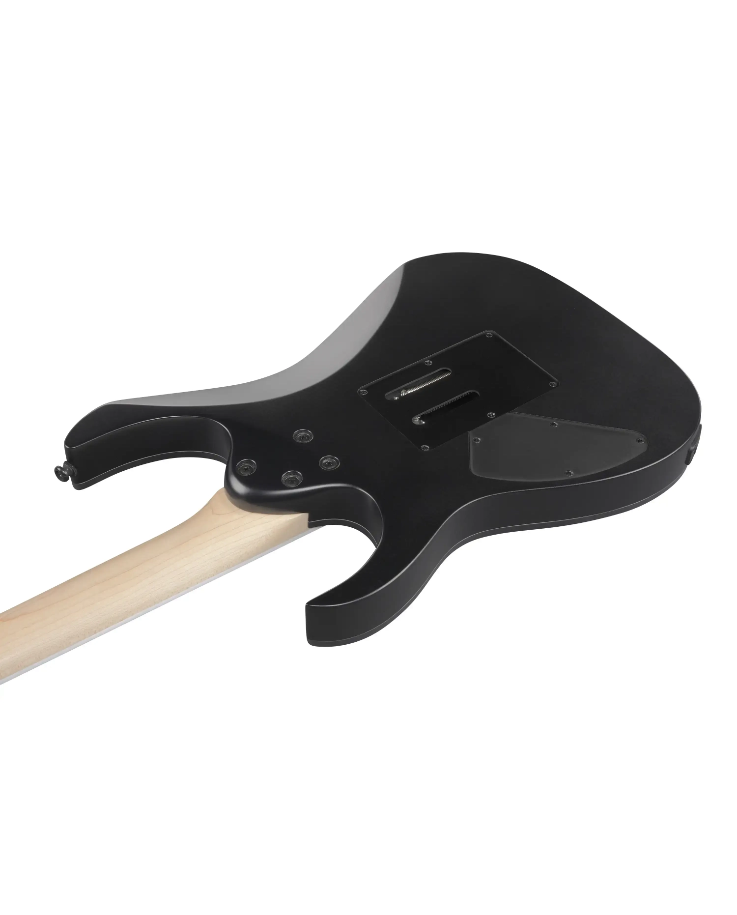 Ibanez RG420EX-BKF - Chitara Electrica