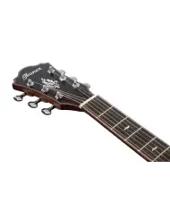 IBANEZ MRC10-NT - CHITARA ELECTROACUSTICA
