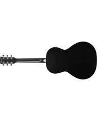 Ibanez PN14MHCE-WK - Chitara Electro-Acustica