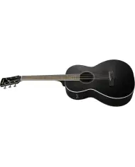 Ibanez PN14MHCE-WK - Chitara Electro-Acustica