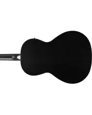 Ibanez PN14MHCE-WK - Chitara Electro-Acustica