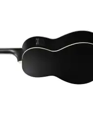 Ibanez PN14MHCE-WK - Chitara Electro-Acustica