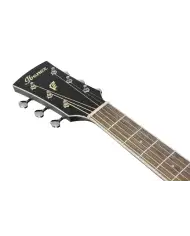 Ibanez PN14MHCE-WK - Chitara Electro-Acustica