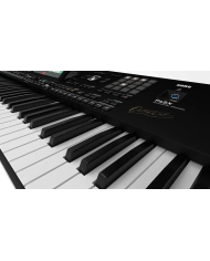 Korg Pa5X 76 Oriental - Sintetizator