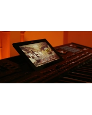 Korg Pa5X 76 Oriental - Sintetizator
