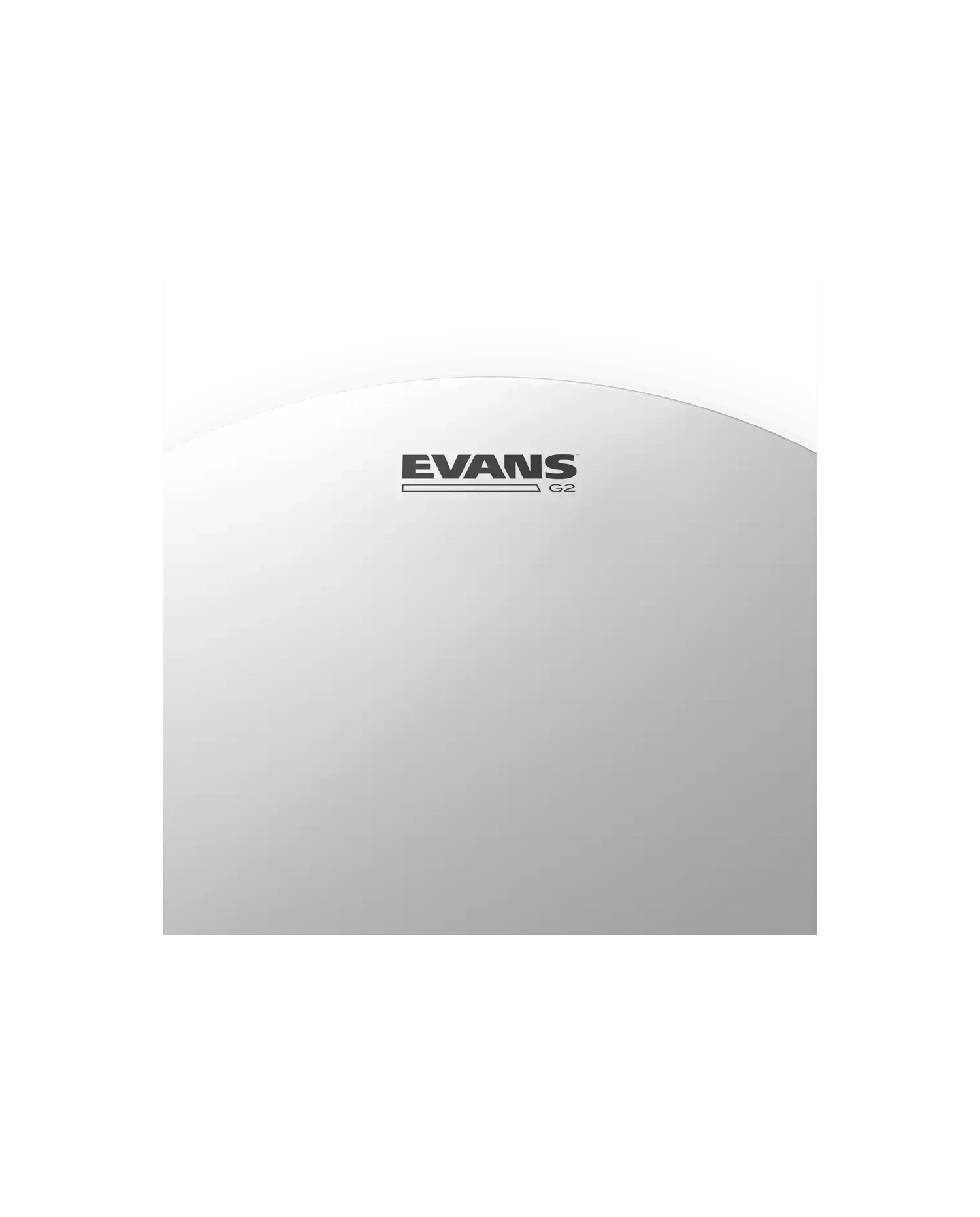 Evans G2 Coated 14" - Fata toba