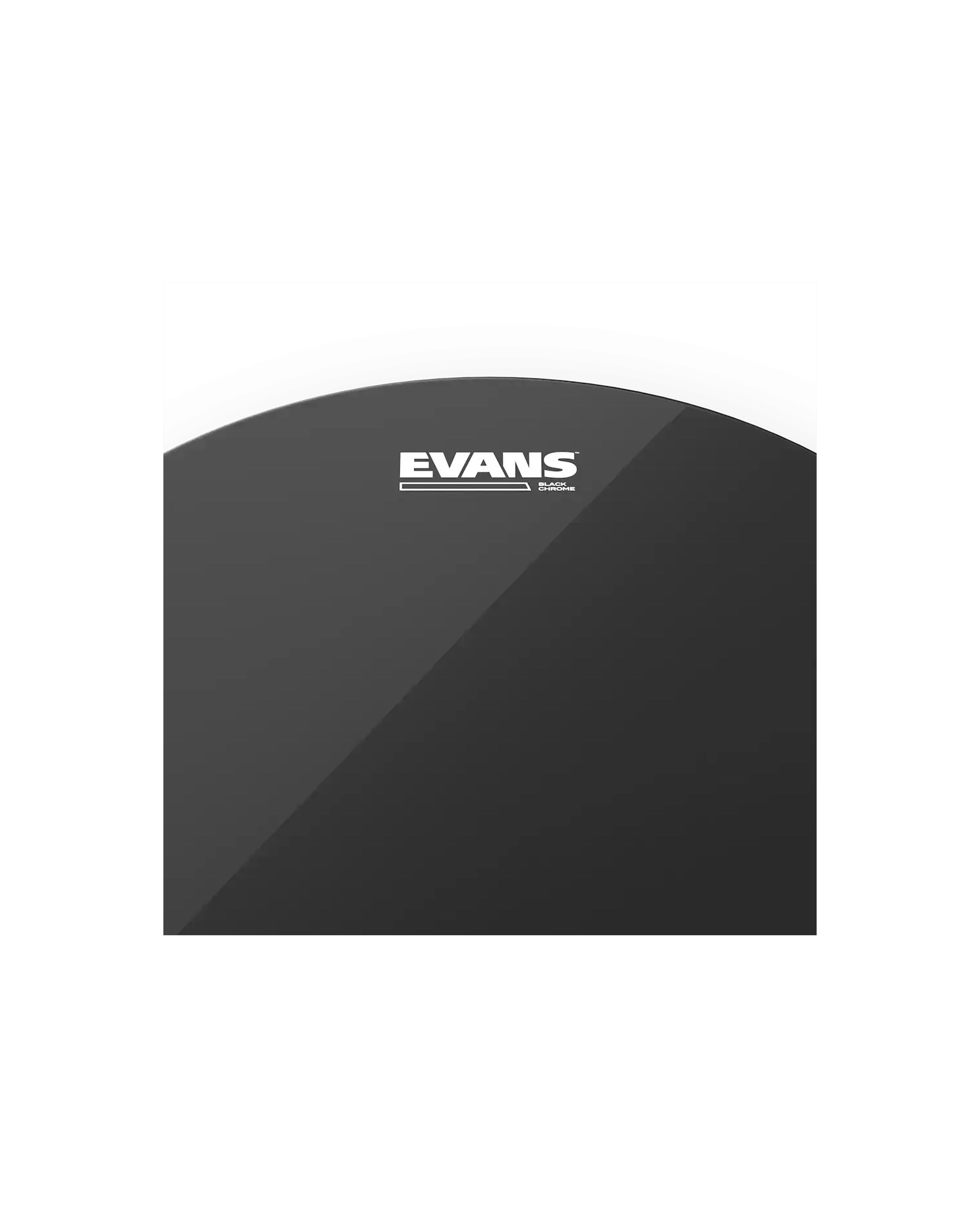 Evans Black Chrome Clear 14" - Fata toba