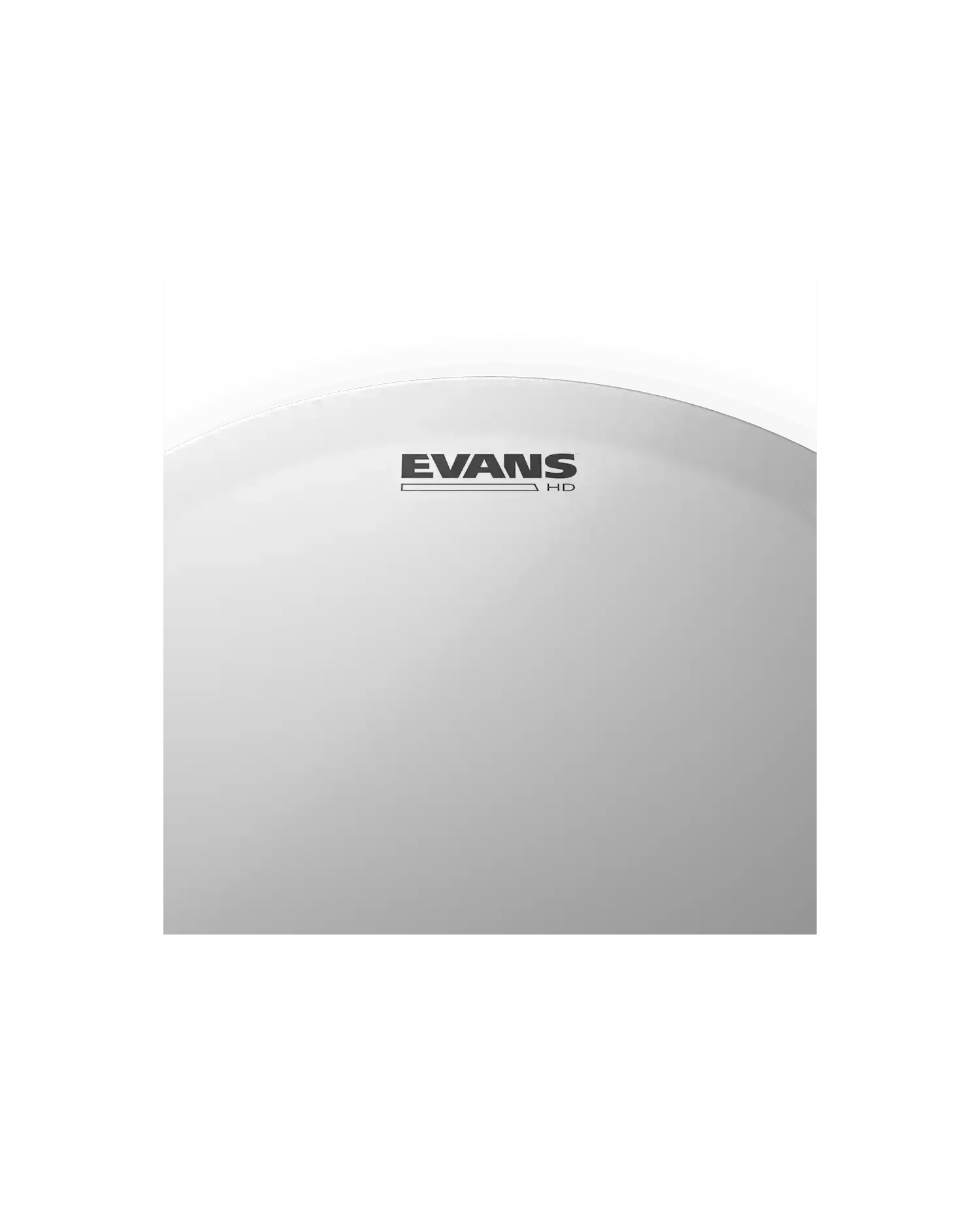 Evans Genera HD 14" - Fata Toba