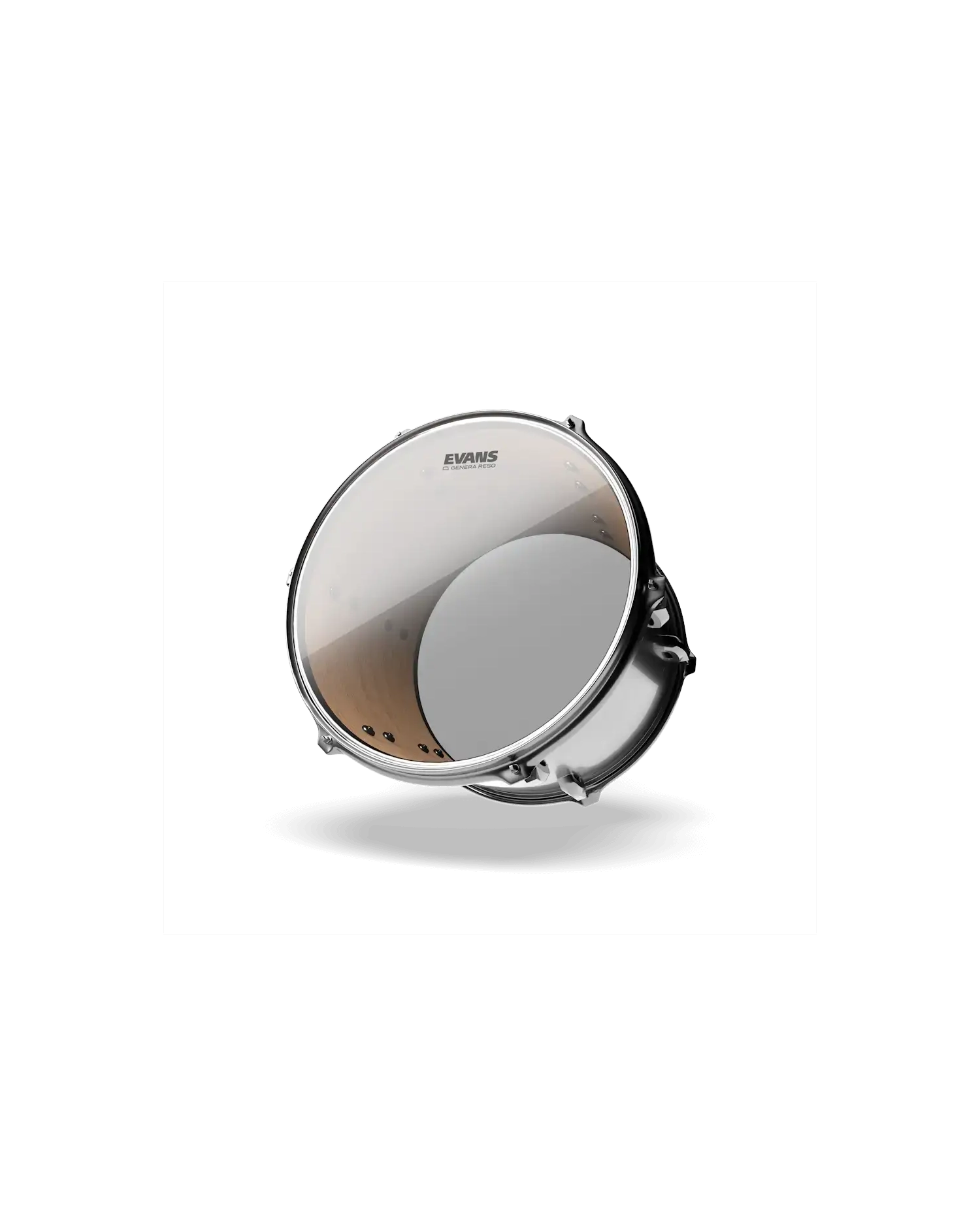Evans Genera Resonant 10" - Fata toba