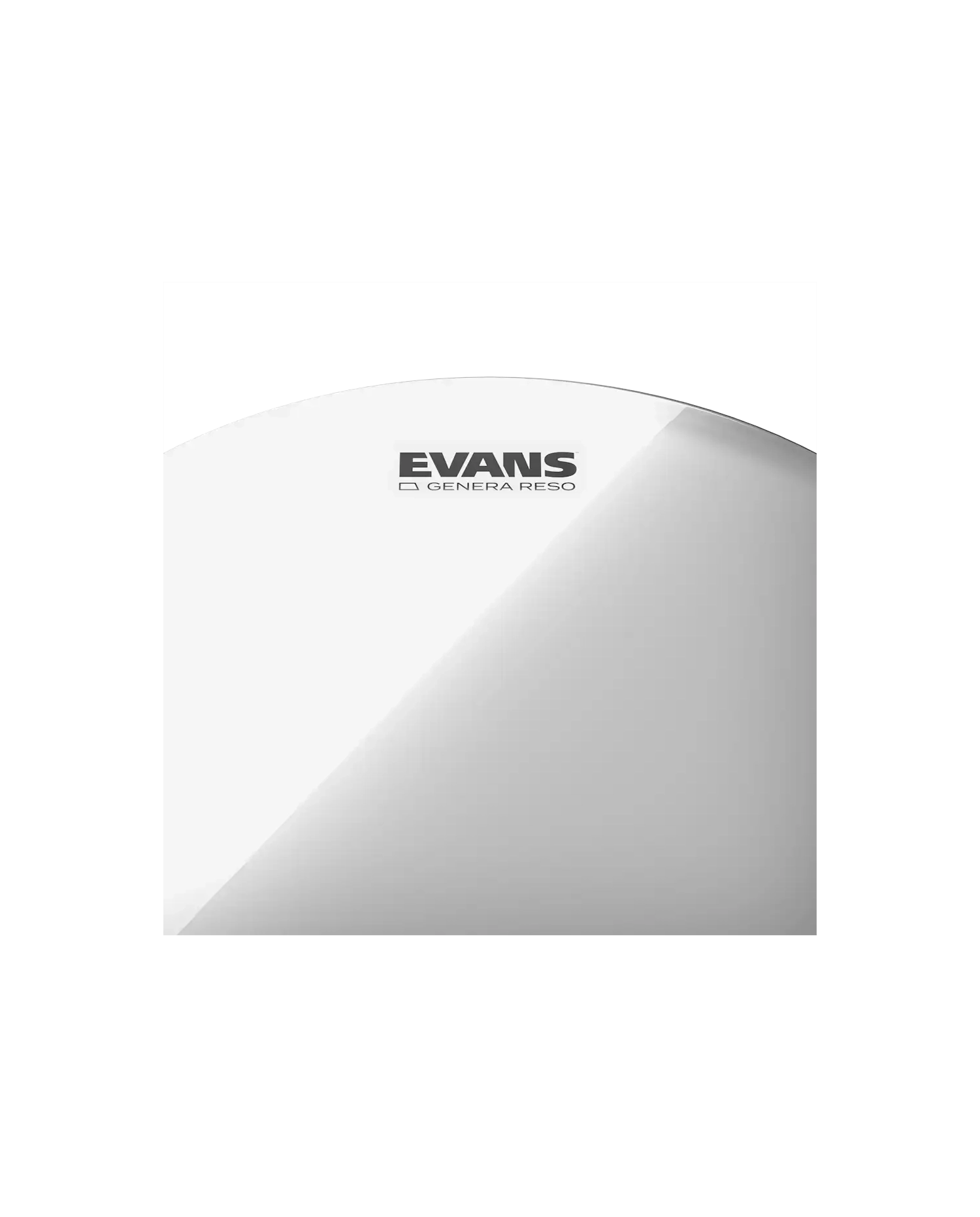 Evans Genera Resonant 13" - Fata toba