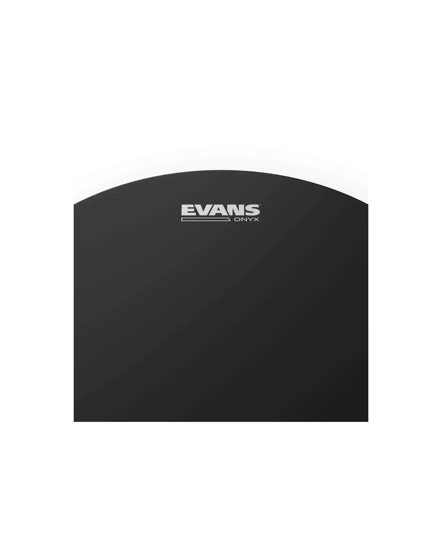 Evans 12" ONYX Coated - Fata Toba