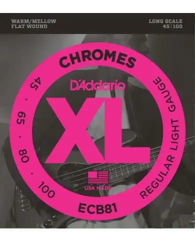 D'Addario ECB81 Flatwound Long Scale - Set 4 Corzi Chitara Bass 45-100 D'Addario - 1