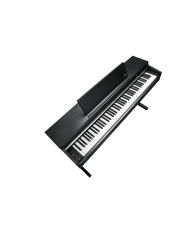 Kurzweil CUP M1 BK - Pian Digital