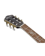 Ibanez TOD10NL-TKF - Chitara Clasica Electro-Acustica