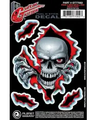 Planet Waves GT77002 Guitar Tattoo - Autocolant chitara Planet Waves - 1
