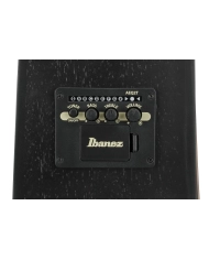 Ibanez V44CE-WK - Chitara Electroacustica