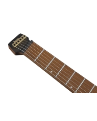 Ibanez MGFM10-OBL - Chitara Electrica cu Husa