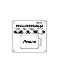 Ibanez AJ54E-OPN - Chitara Electro-Acustica