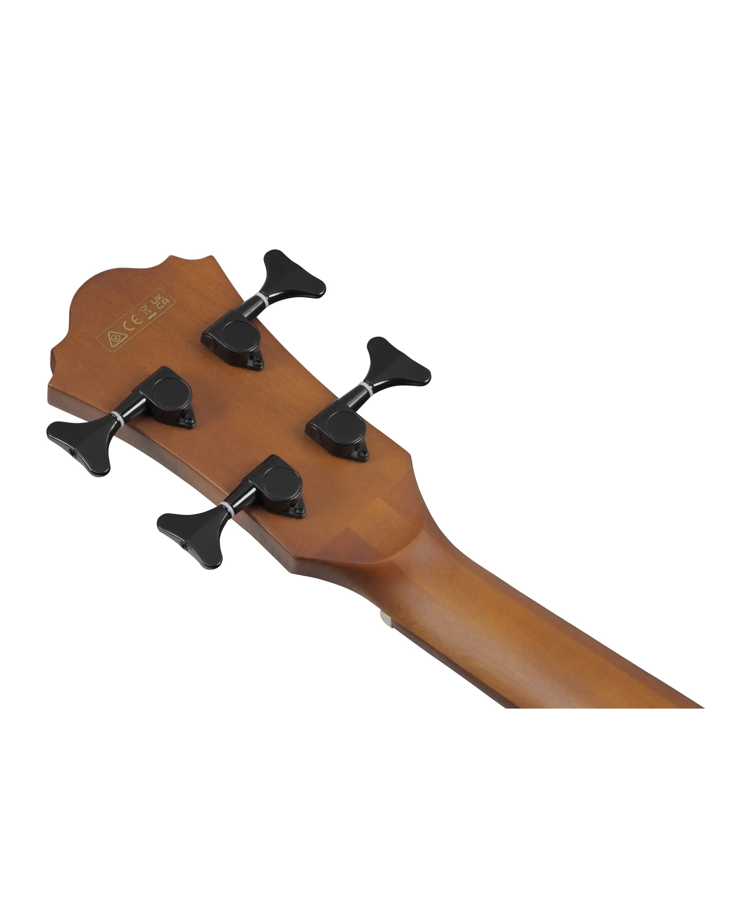 Ibanez AEGB24FE-MHS - Chitara bass electro-acustica