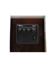 Ibanez AEGB24FE-MHS - Chitara bass electro-acustica