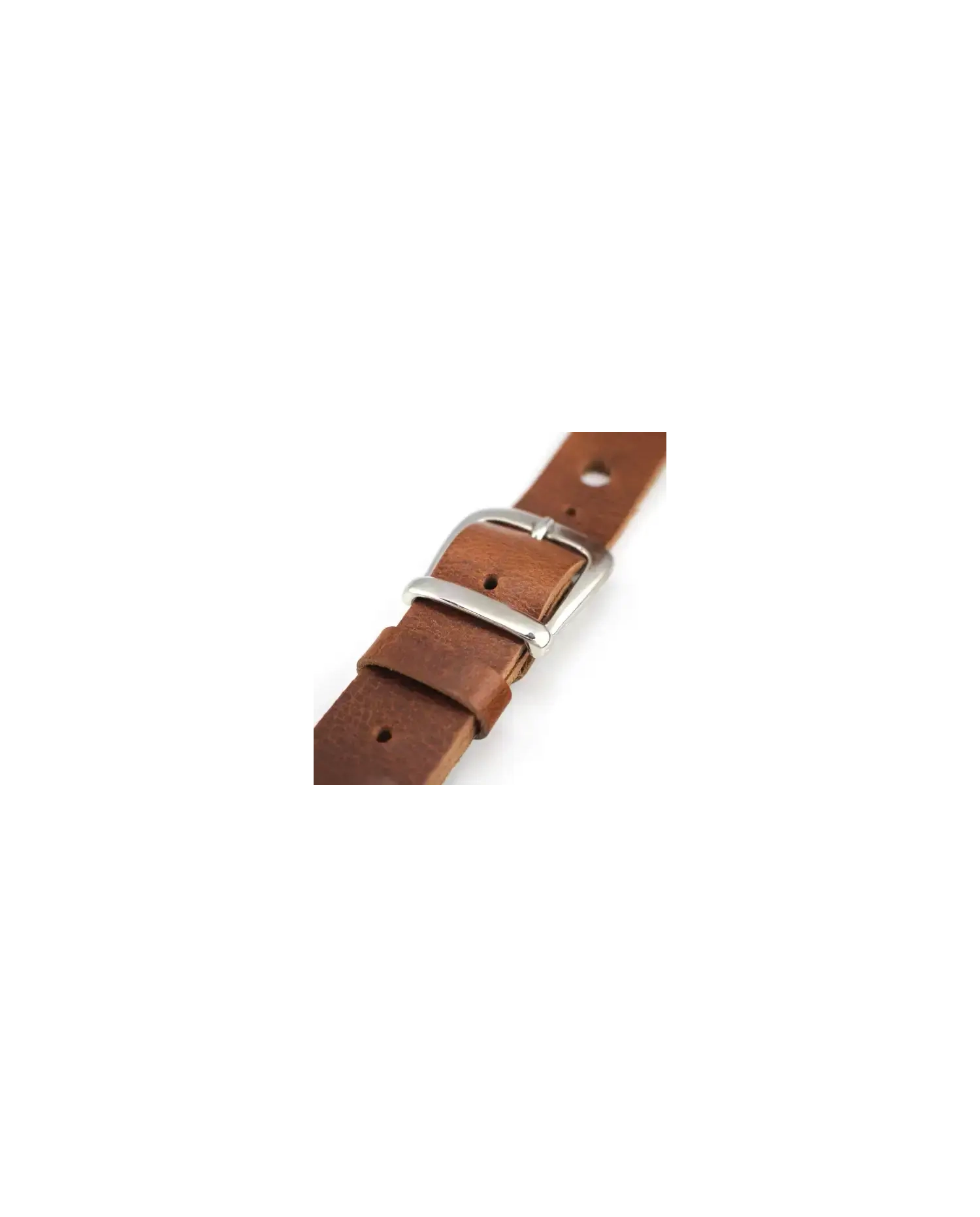 Richter Luxury Special Springbok 1066 - Curea Chitara