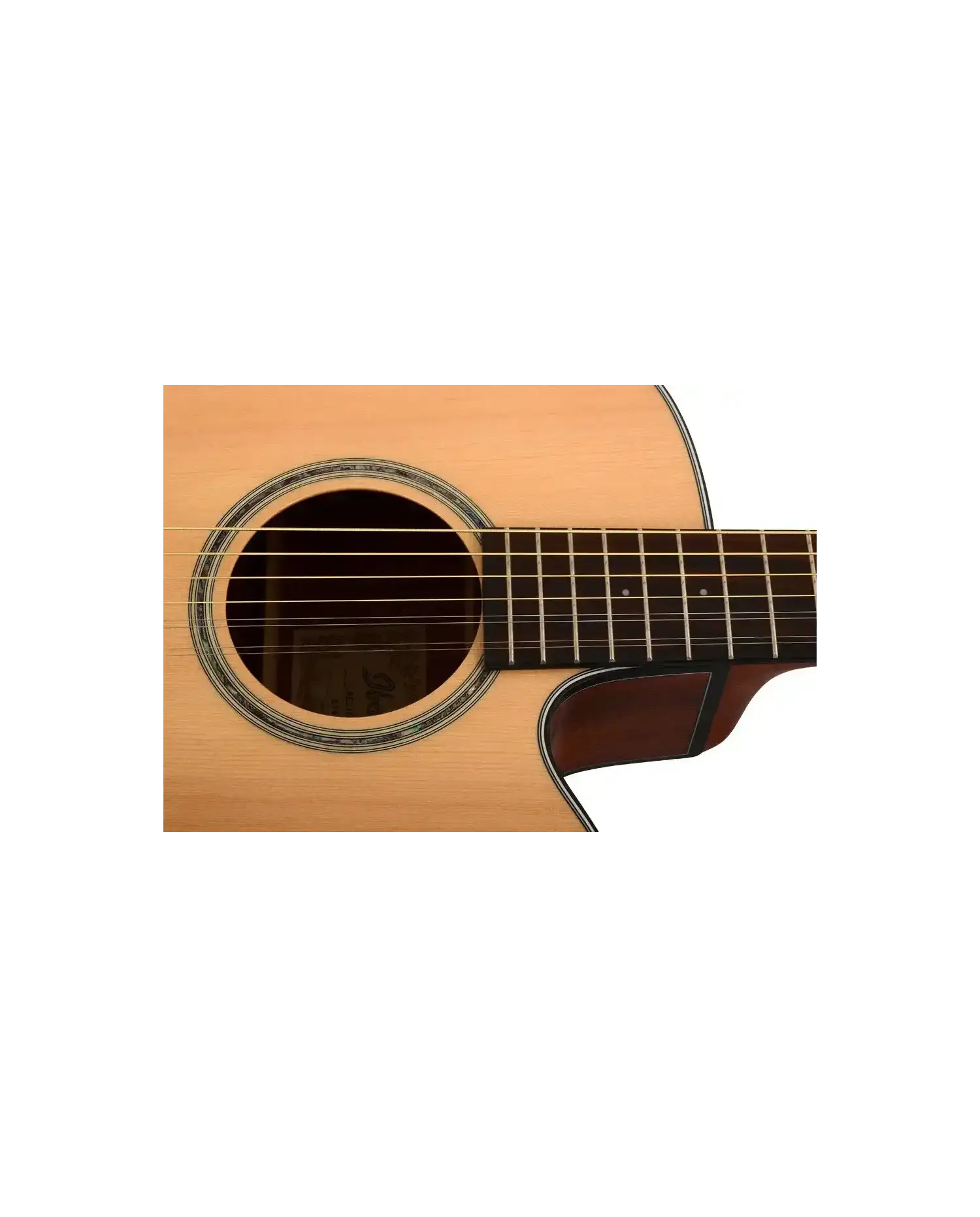 Ibanez AEL108TD - Chitara electro-acustica Ibanez - 2