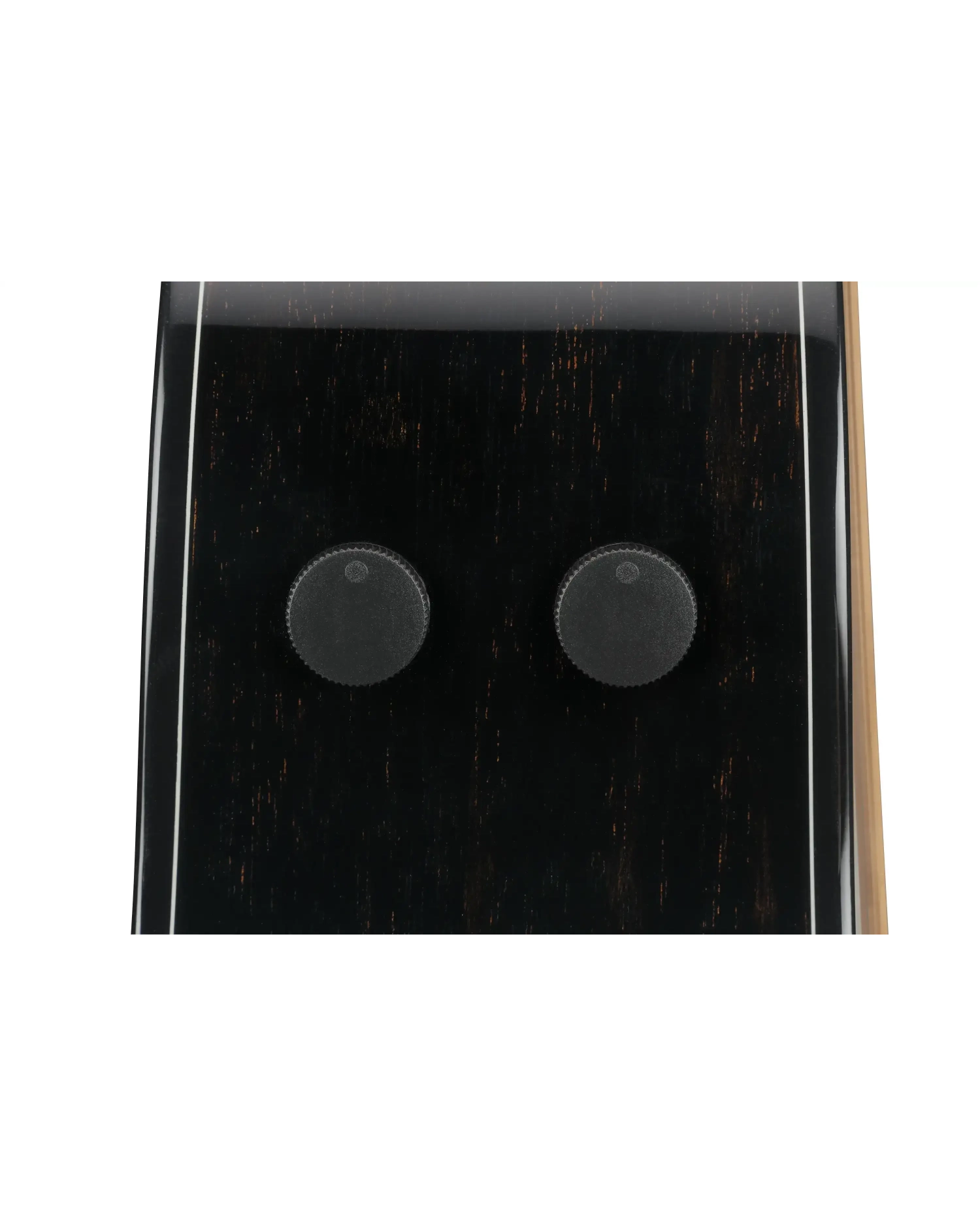 Ibanez AAM340CE-RUB - Chitara Electro-Acustica