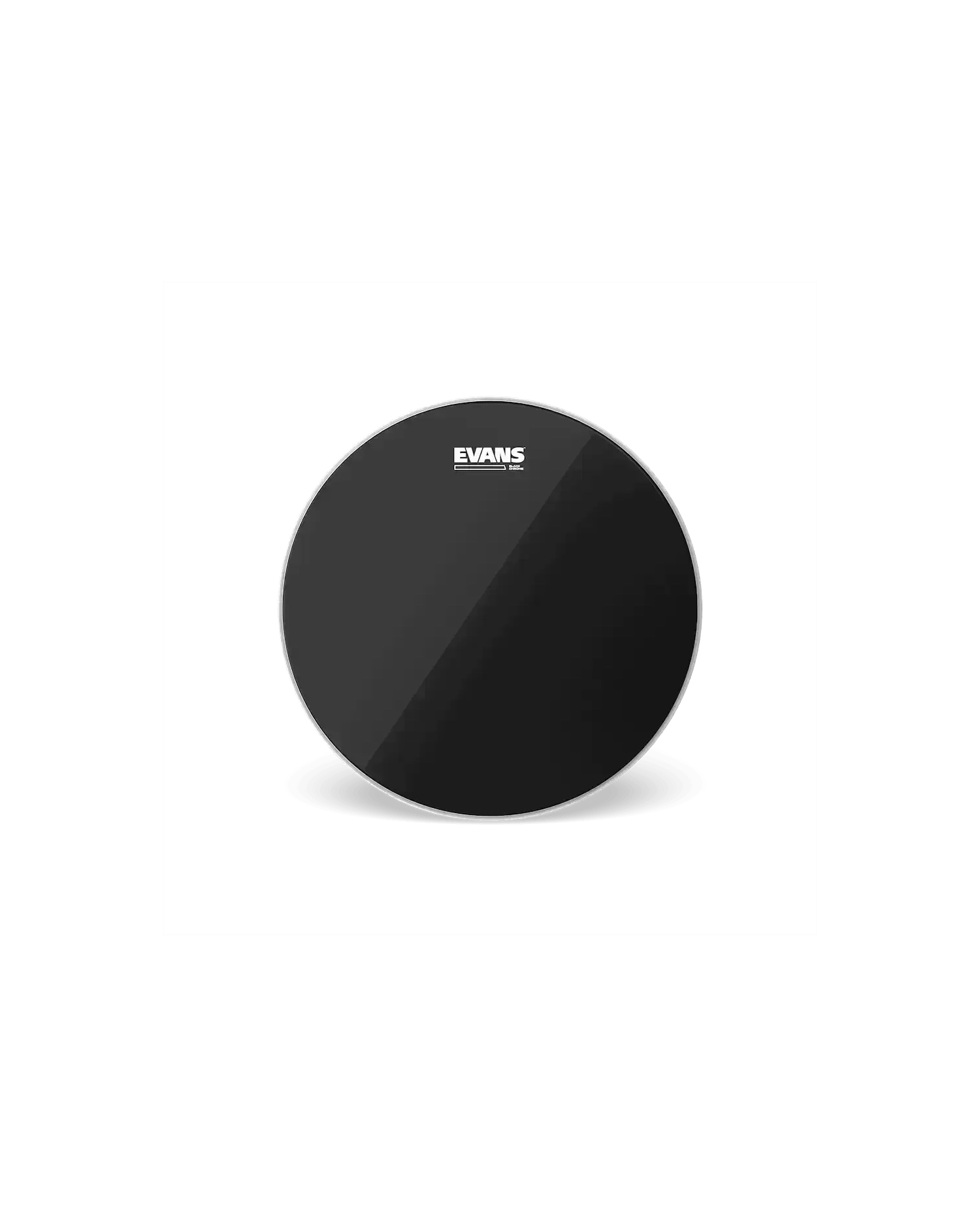Evans Black Chrome Clear 10" - Fata toba