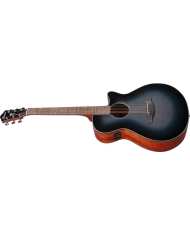 Ibanez AEG50-IBH - Chitara Electro-Acustica