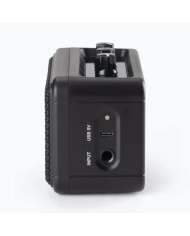 OnStage TGA01 - Amplificator Chitara