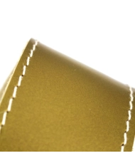 Richter Raw II Metallic Gold 1376 - Curea Chitara