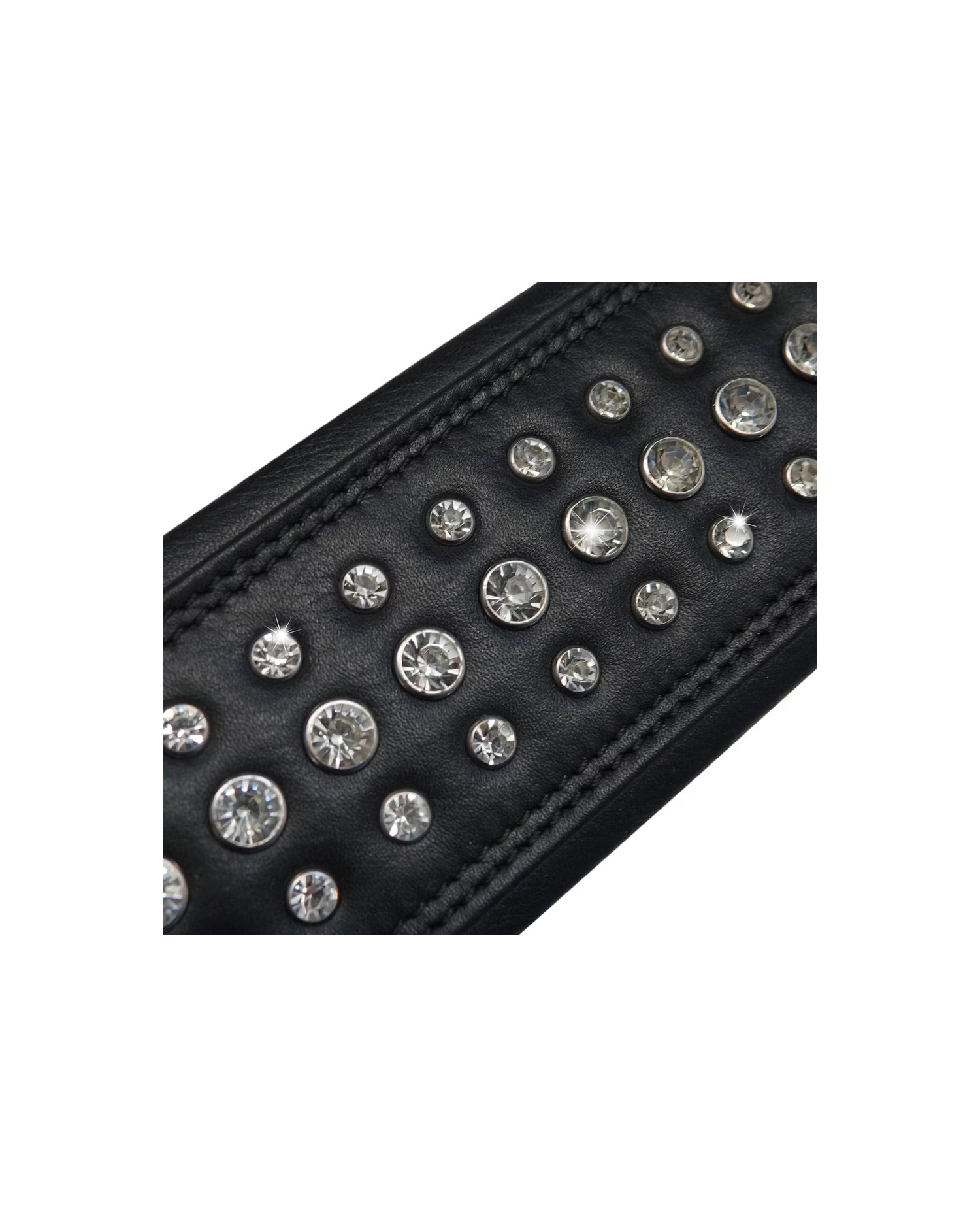 Richter Springbreak I Bling Bling 1643 - Curea Chitara