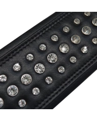 Richter Springbreak I Bling Bling 1643 - Curea Chitara