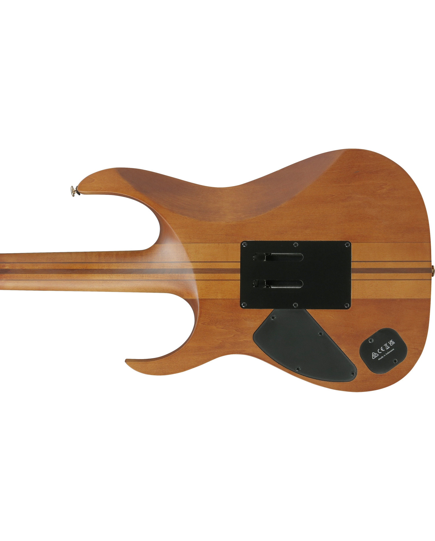 Ibanez RGT1220PB-ABS - Chitara Electrica