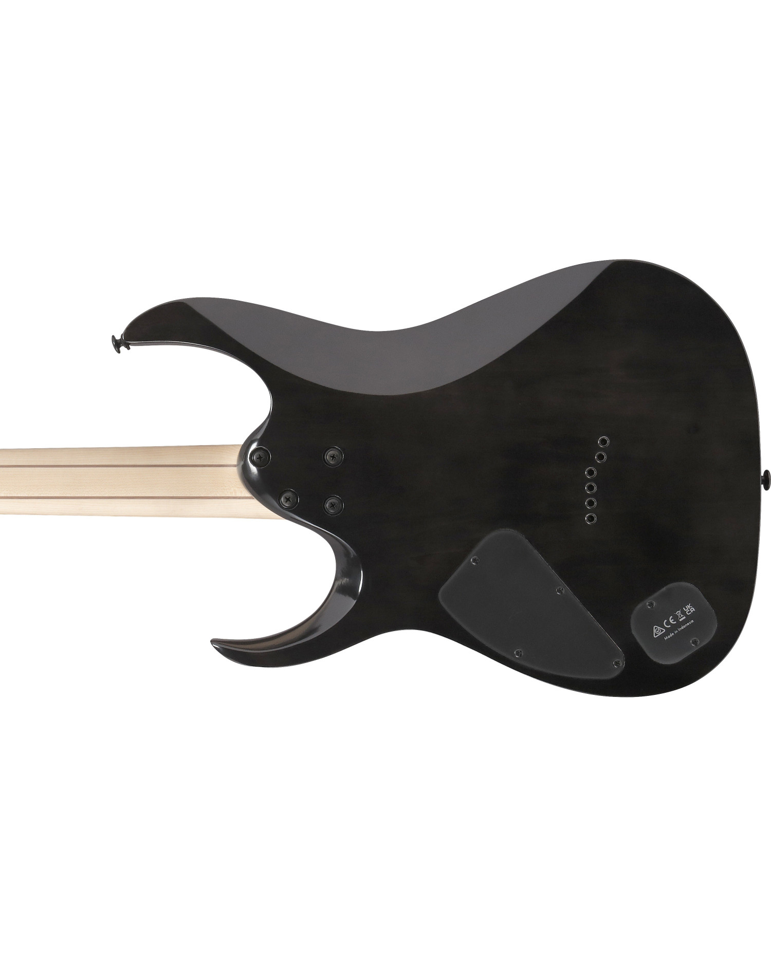Ibanez RGA21P1PB-DRL - Chitara Electrica Cu Husa