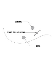Ibanez RG470DXFM-CS - Chitara Electrica