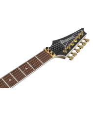Ibanez RGR420FMSP-TGF - Chitara Electrica