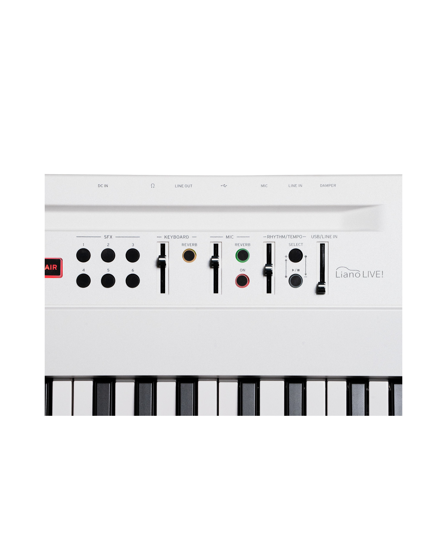 Pian Digital Korg L1 Live Liano | MC MUSIC