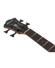 Ibanez AEGB25E-TKH - Chitara bass electro-acustica